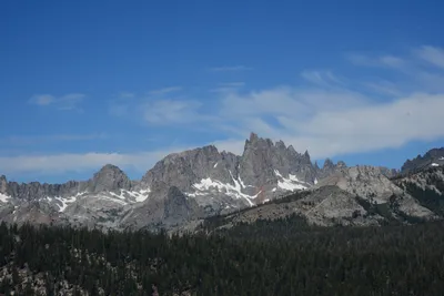 DSC_9954 (Large).JPG